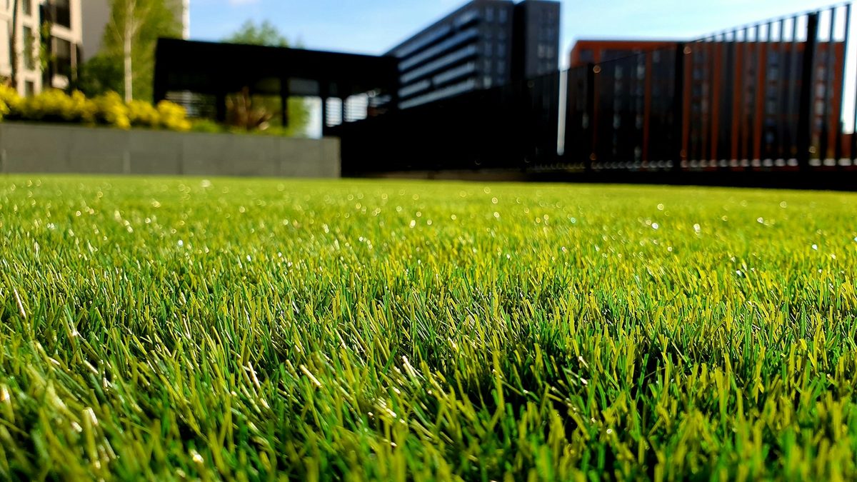 Close-up van een dicht groen gazon in een zonnige tuin